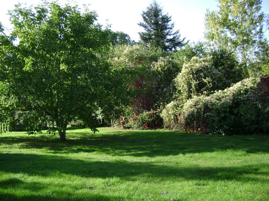 Les Chandelles Bed & Breakfast Villiers-le-Morhier Exterior foto